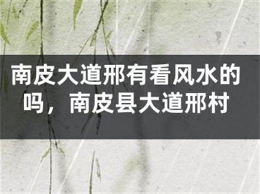南皮大道邢有看风水的吗，南皮县大道邢村