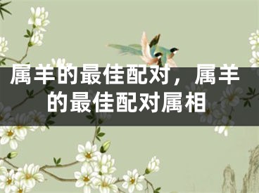 属羊的最佳配对，属羊的最佳配对属相