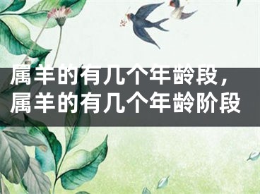 属羊的有几个年龄段,属羊的有几个年龄阶段