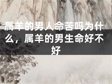 属羊的男人命苦吗为什么，属羊的男生命好不好