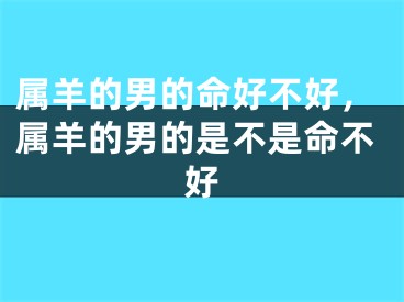 属羊的男的命好不好，属羊的男的是不是命不好