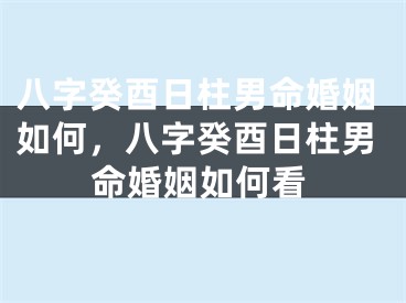 八字癸酉日柱男命婚姻如何，八字癸酉日柱男命婚姻如何看