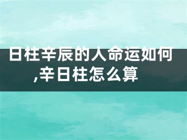 日柱辛辰的人命运如何,辛日柱怎么算