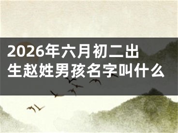 2026年六月初二出生赵姓男孩名字叫什么