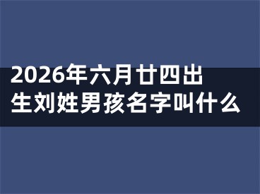 2026年六月廿四出生刘姓男孩名字叫什么