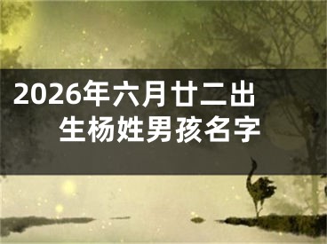 2026年六月廿二出生杨姓男孩名字