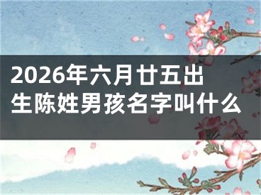 2026年六月廿五出生陈姓男孩名字叫什么