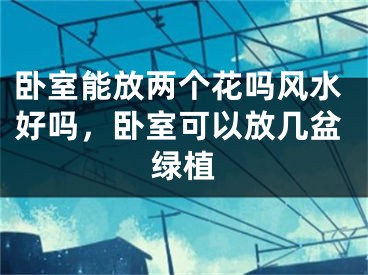 卧室能放两个花吗风水好吗，卧室可以放几盆绿植